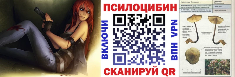 сколько стоит  Миньяр  Псилоцибиновые грибы мицелий 